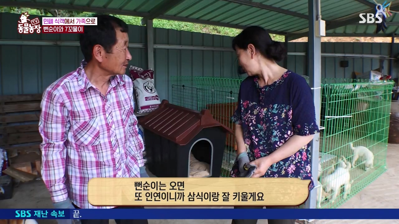 TV 동물농장.E1131.230731p-NEXT.mp4_20230730_190944.868.jpg