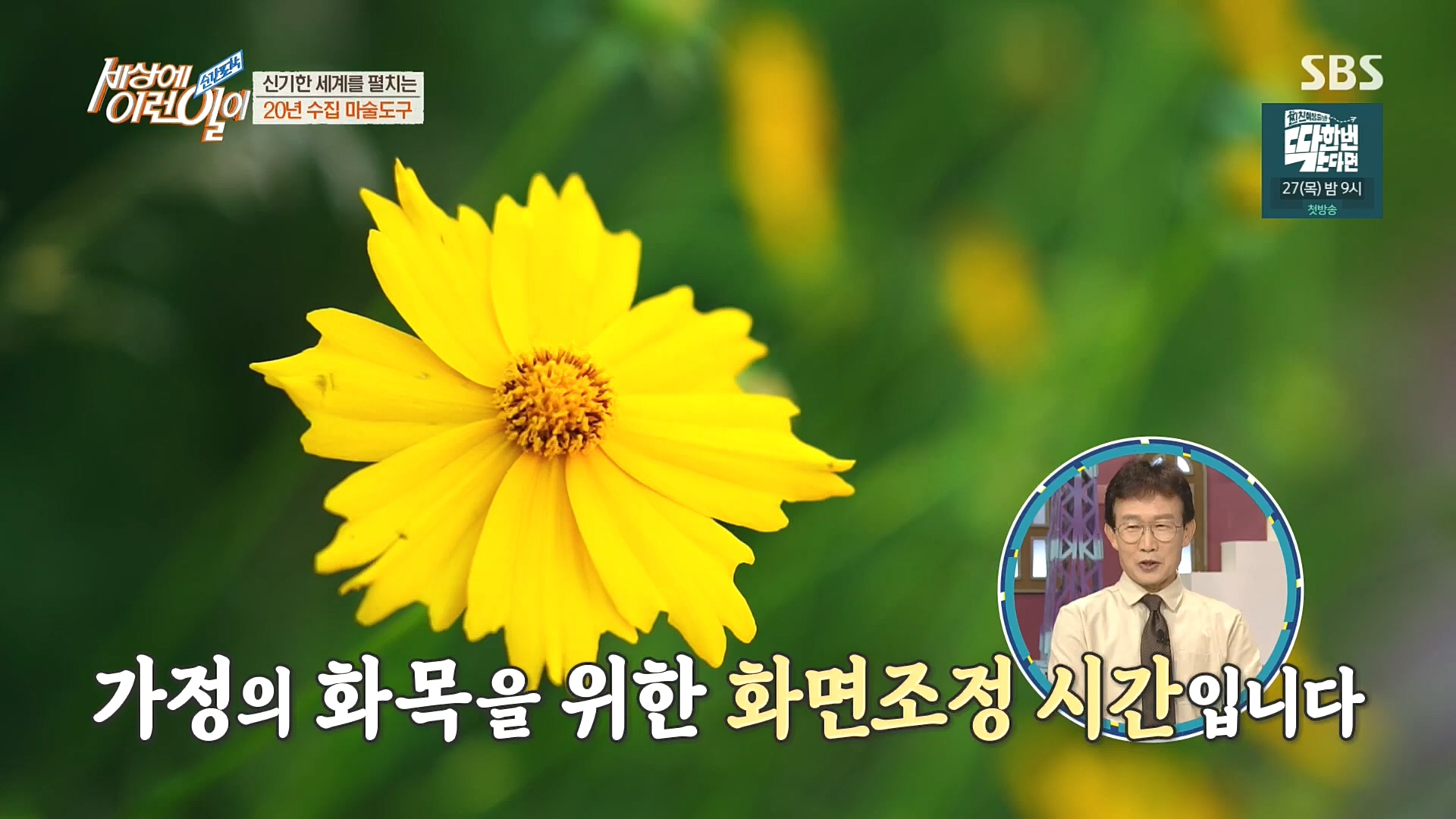 순간포착 세상에 이런일이.E1203.221025p.H264-F1RST.mp4_20221026_193048.892.jpg