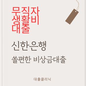 신한은행 쏠편한 비상금대출