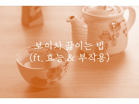  건강한 보이차 끓이는 방법, 그리고 효능에 대해서