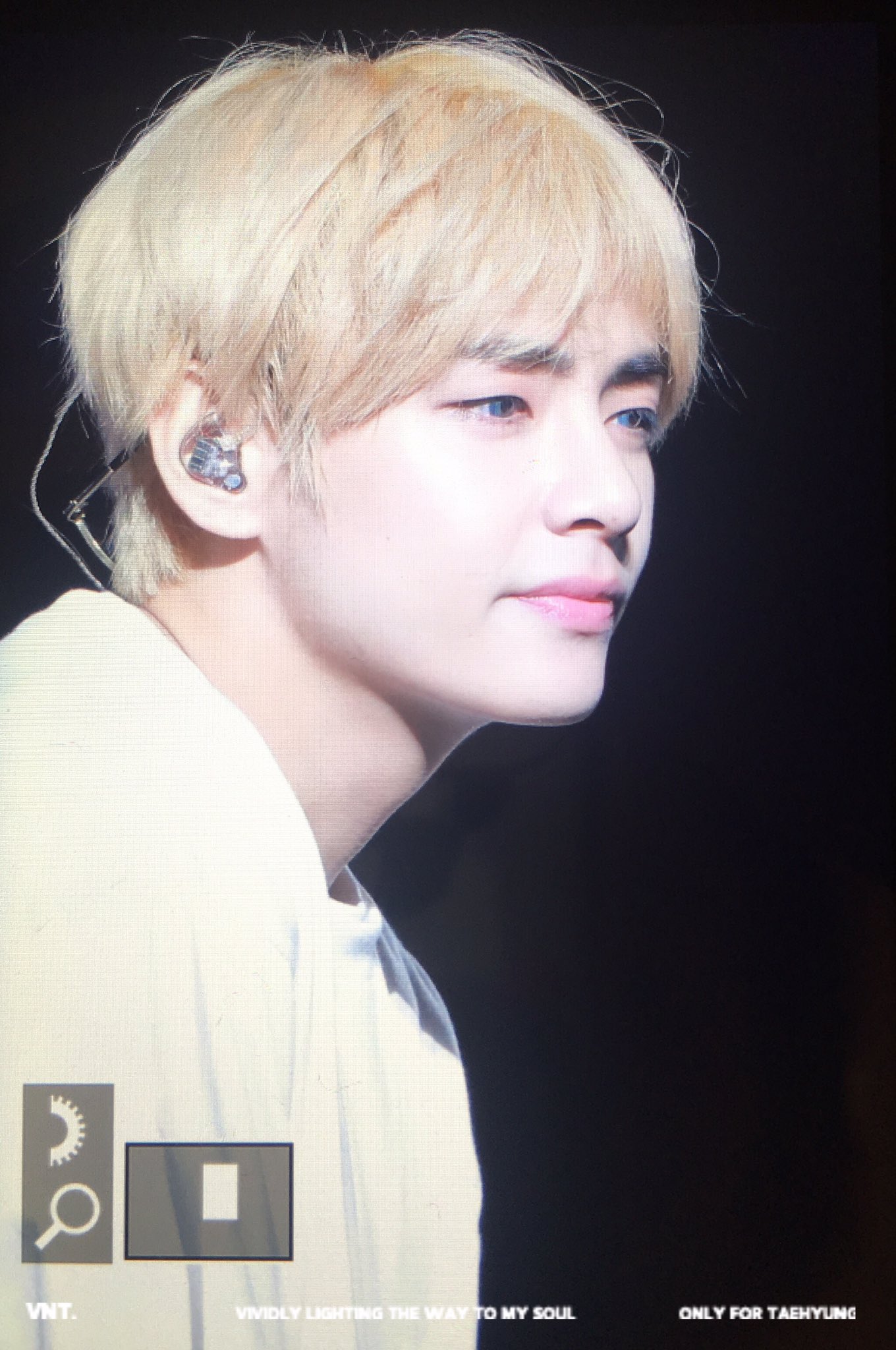 LYS 이미지