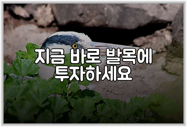 지금 바로 발목에 투자하세요