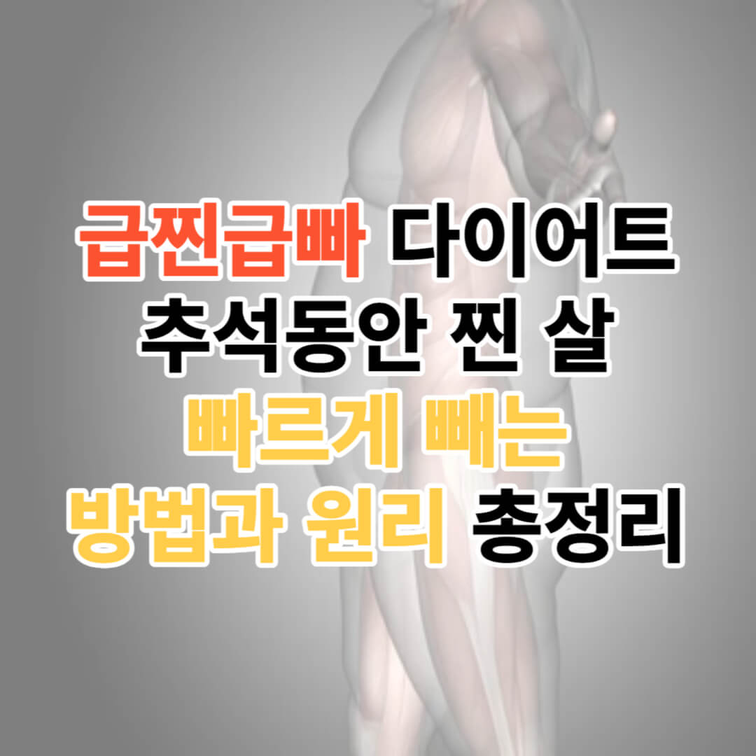 급찐급빠 성공할 3가지 꿀팁!