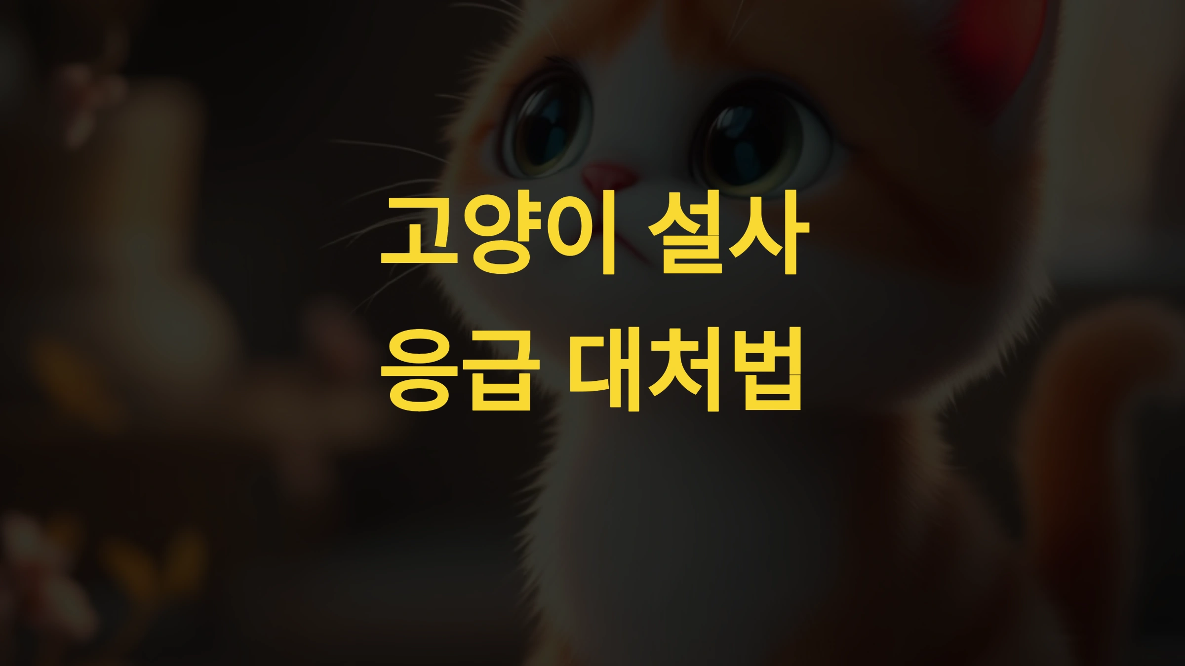 🐱 고양이가 설사를 멈추지 않을 때 응급 대처법