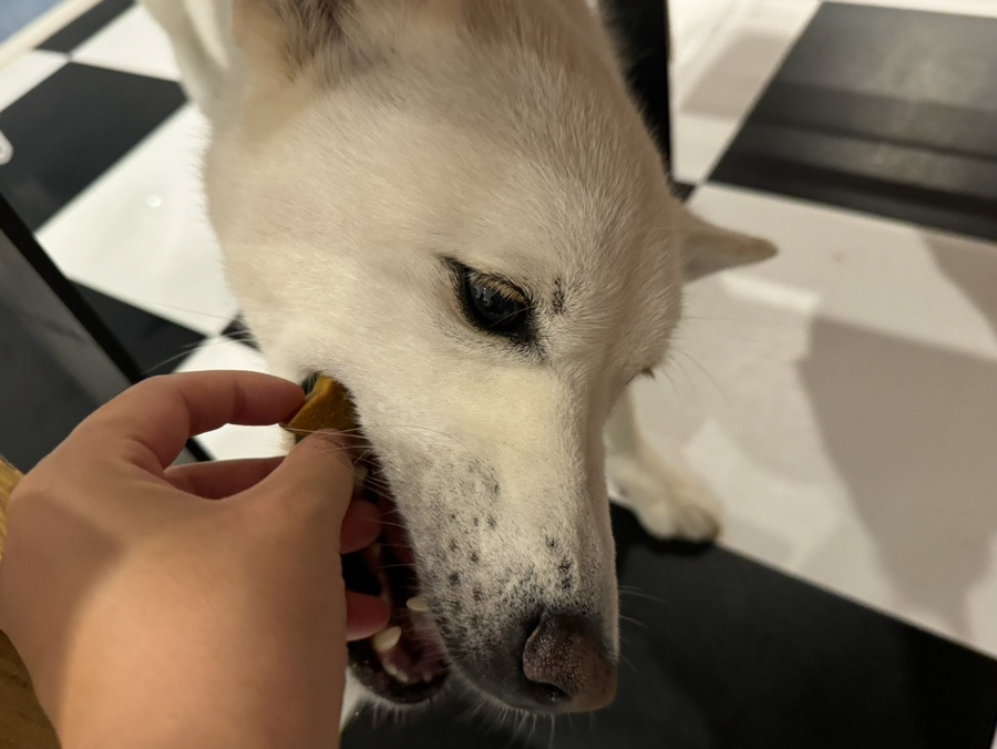 두지네윗집 이미지