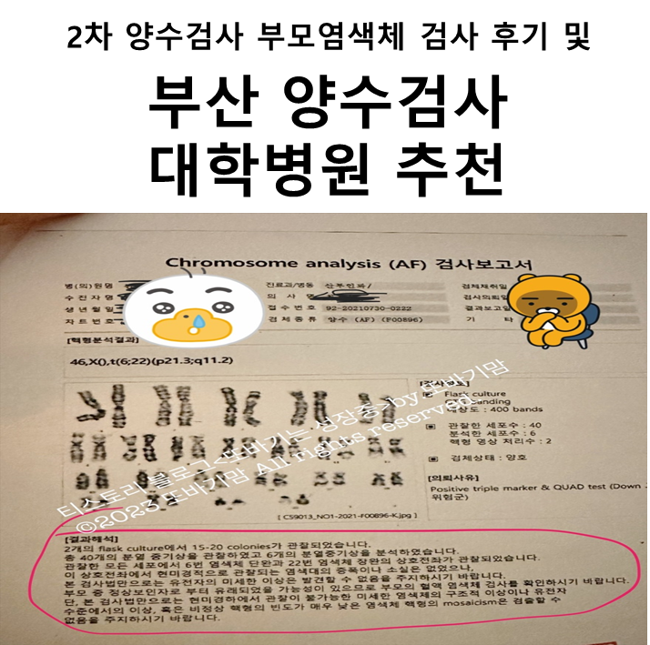  두 번째 양수 검사 부모 염색체 검사 솔직 후기, 부산 양수 검사 대학 병원 추천