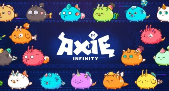  엑시인피니티(AXS) 코인 정보와 코인 전망