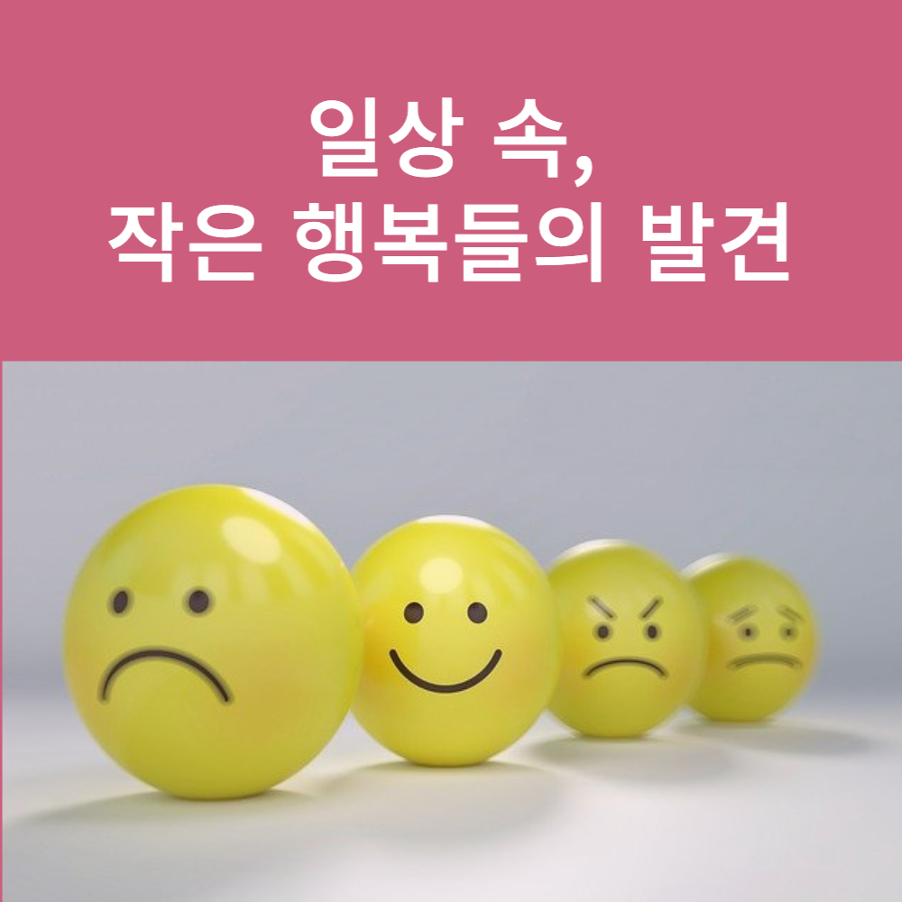 일상 속 작은 행복들의 발견