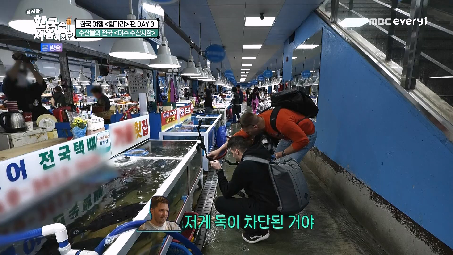 어서와 한국은 처음이지.E318.240613p.WANNA.mp4_20240615_163921.812.jpg