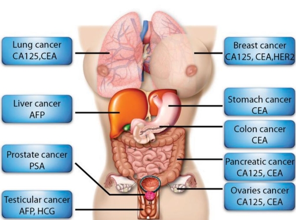 tumor-marker