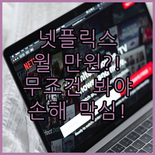 넷플릭스 월 만원 시대?! 안보면 손