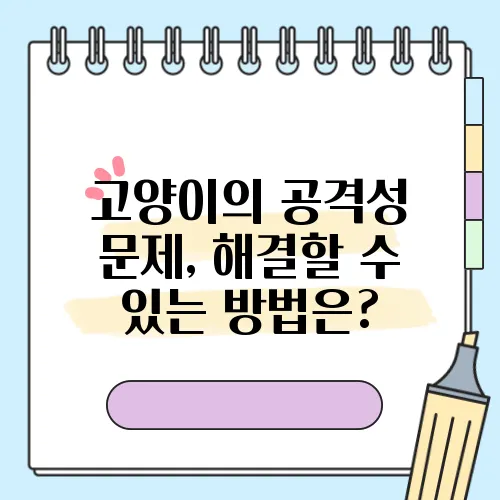 고양이의 공격성 문제, 해결할 수 있는 방법은?