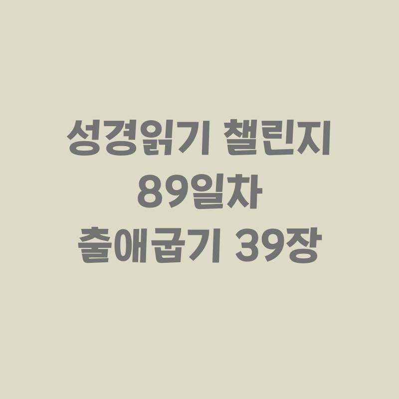 제사장의 예복
