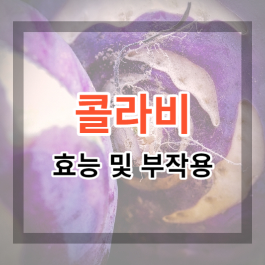  콜라비 효능 및 부작용, 맛있게 먹는 법 총정리