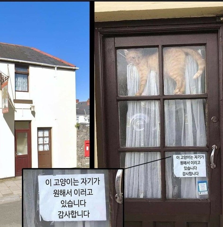  자기가 원해서 이러고 있음