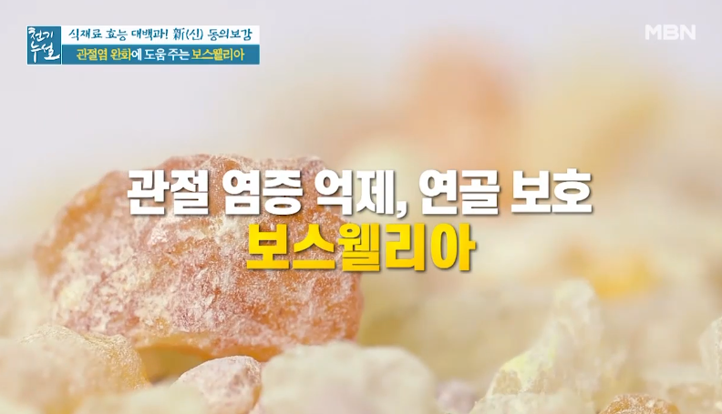  관절왕!! 보스웰리아 효능 부작용 /Boswellia (+보스웰리아 차, 보스웰리아파스 만드는방법)