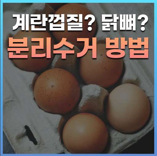 계란껍질 분리수거 방법