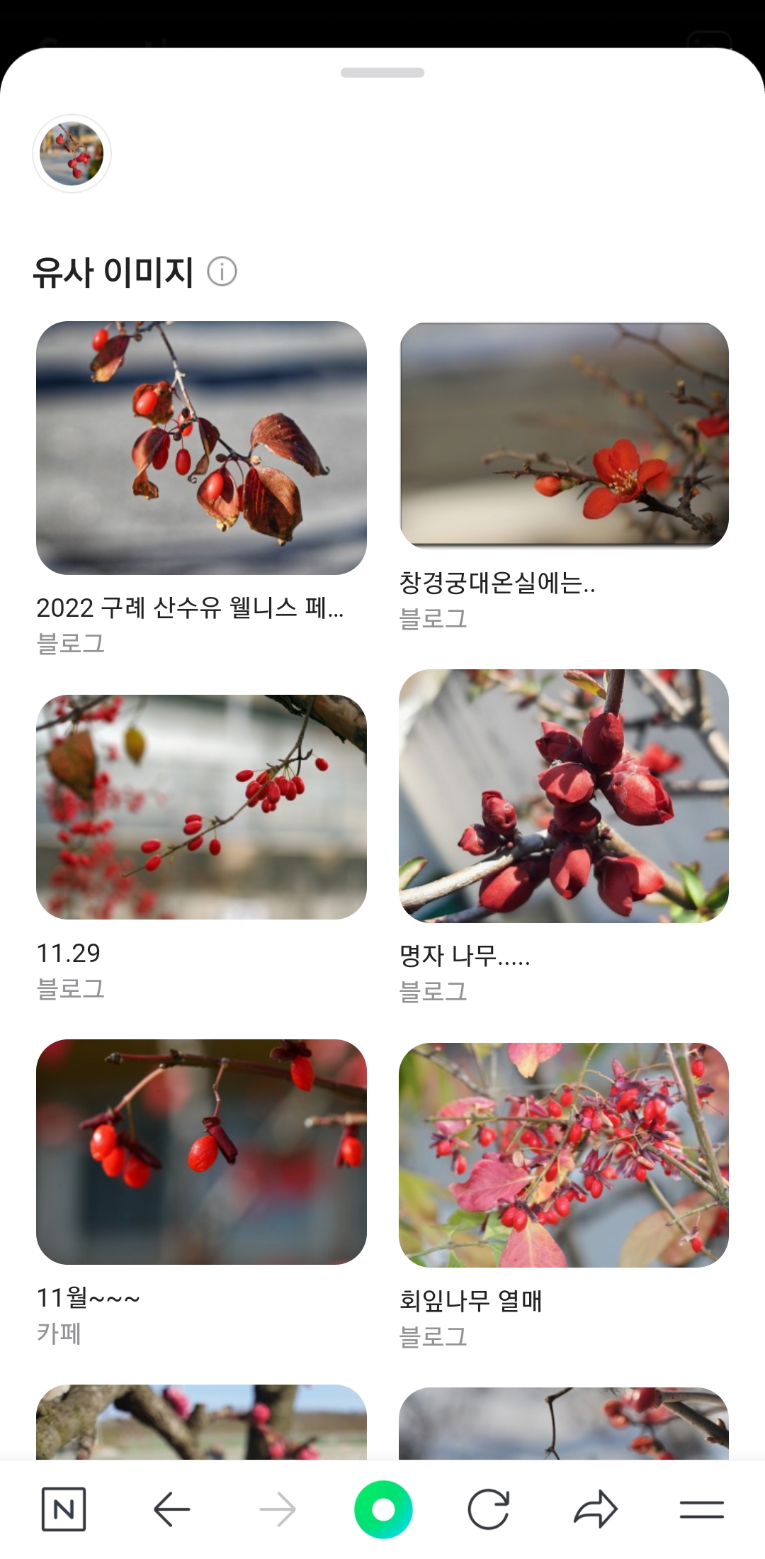 식물이름 네이버 앱 스마트렌즈