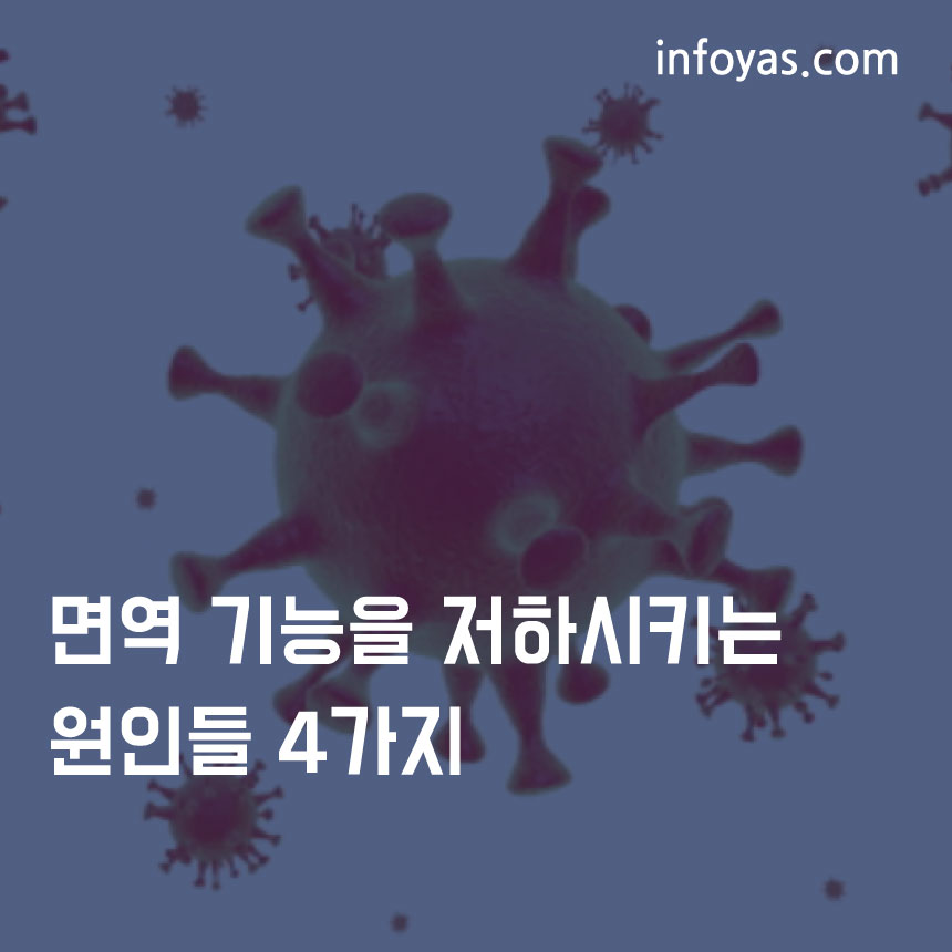  면역 기능을 저하시키는 원인들 4가지