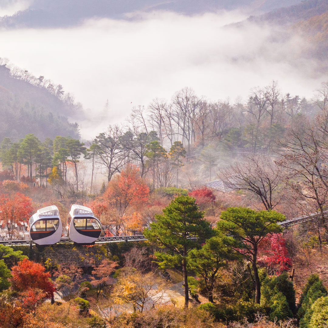 화담숲 모노레일