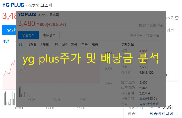yg plus주가 및 배당금 분석