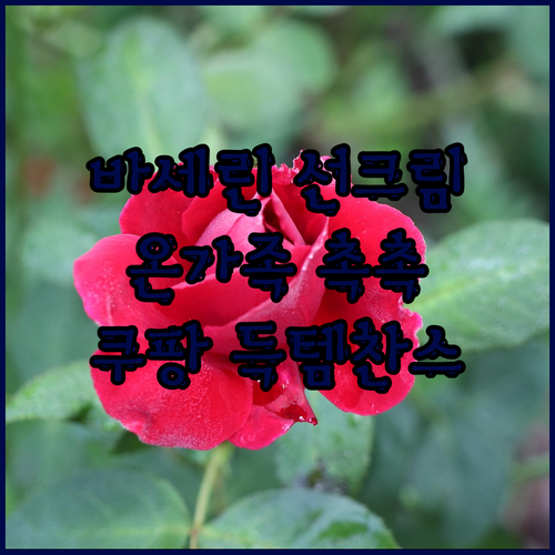 바세린 모이스처 선크림✨ 페이스&바디