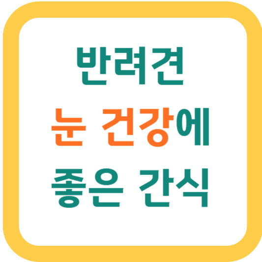  강아지 눈 건강에 좋은 간식 추천