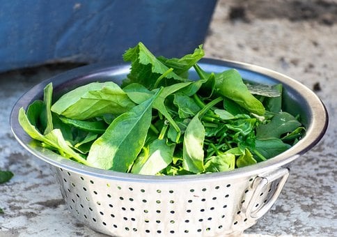 시금치의 이점