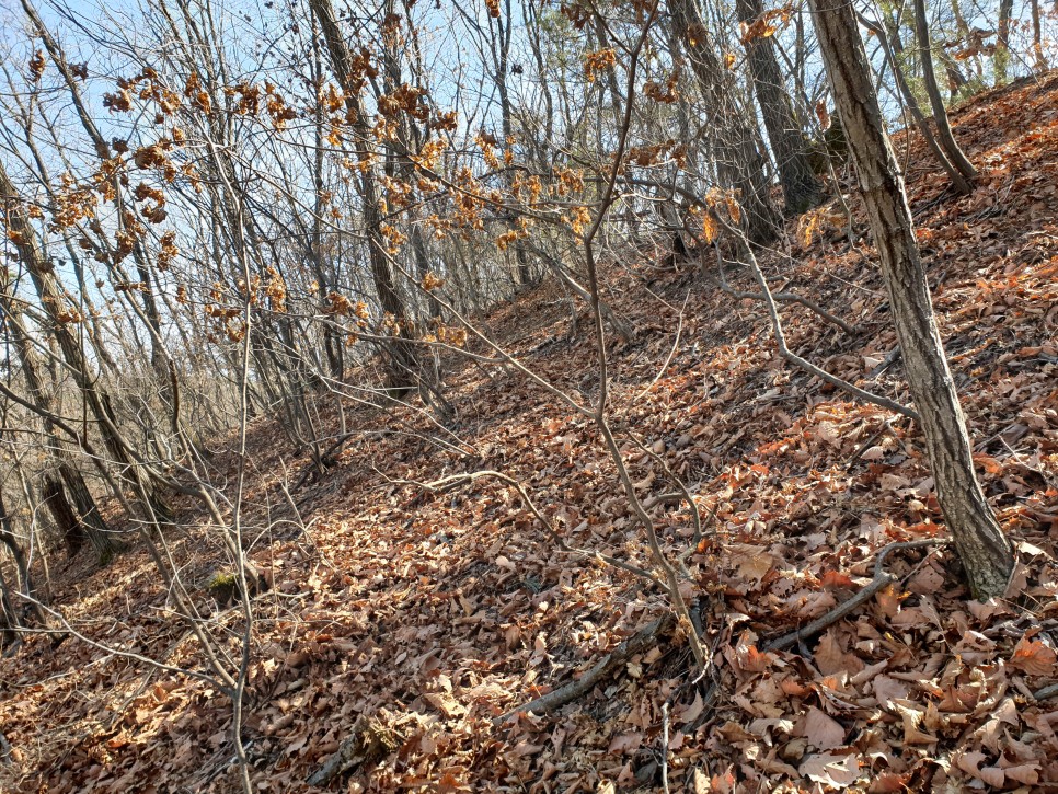 변산 - 수암봉 산행 15