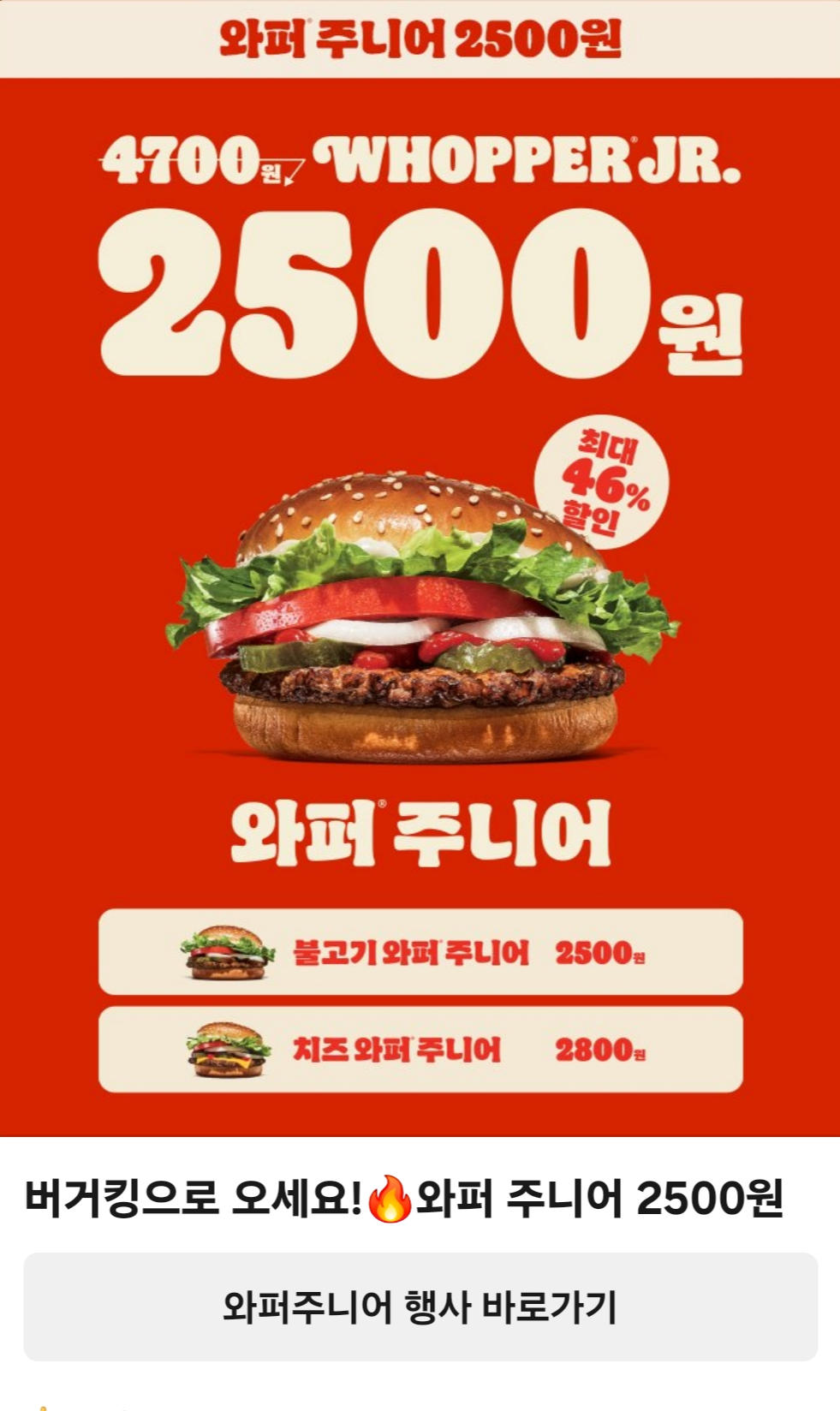 오션FS 이미지