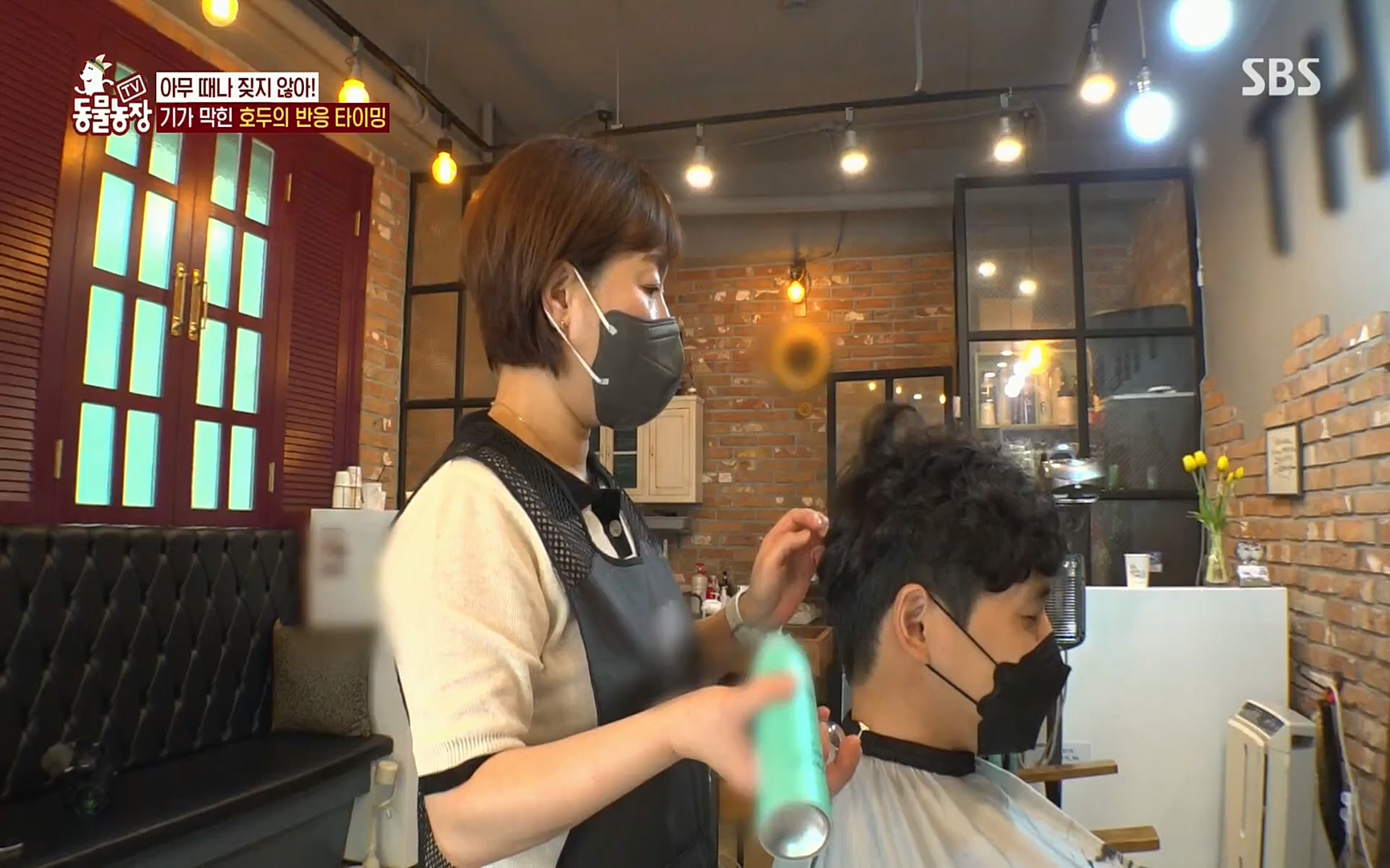 TV 동물농장.E1084.220828p.H264-F1RST.mp4_20220828_154040.495.jpg