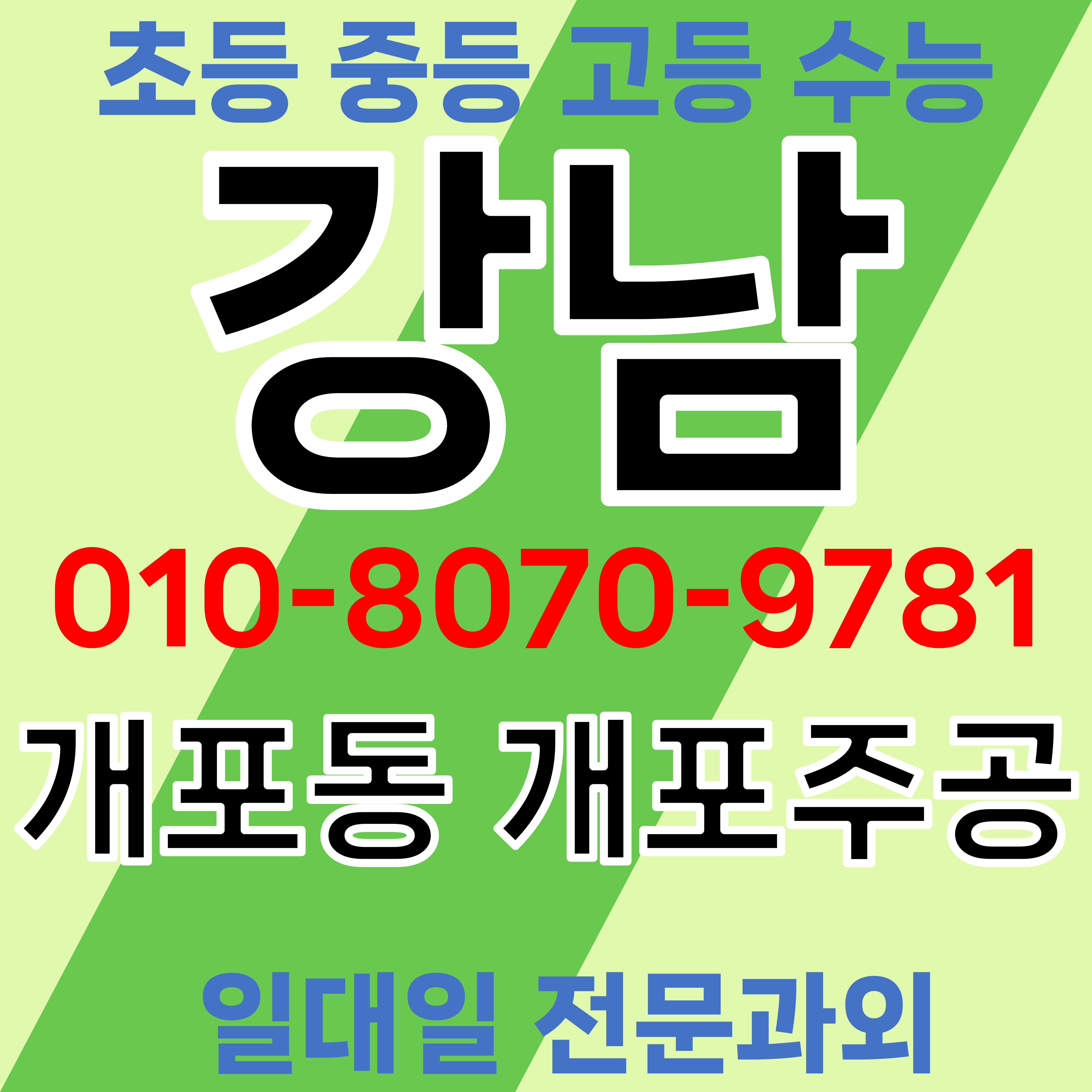  강남 개포동 초등 수학과외 중학생 개포주공 영어과외 고등 대수 함수 방정식 미적분 사고력