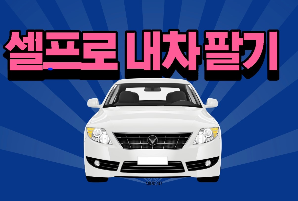  [중고차]  셀프로 내차  팔기 헤이딜러 VS kb차차차 VS 엔카 비교 총정리