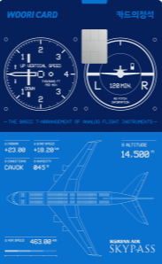 카드의정석 EVERY MILE SKYPASS