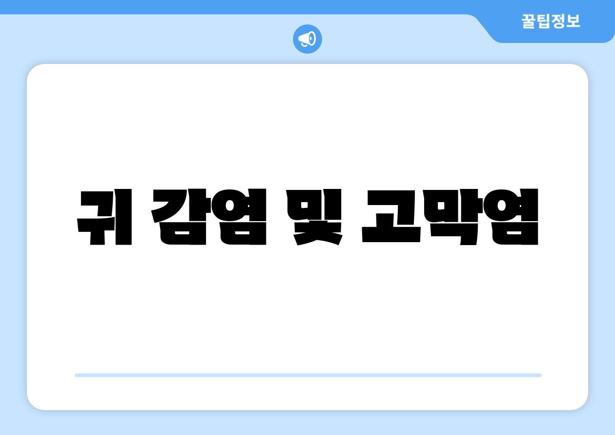 귀 감염 및 고막염