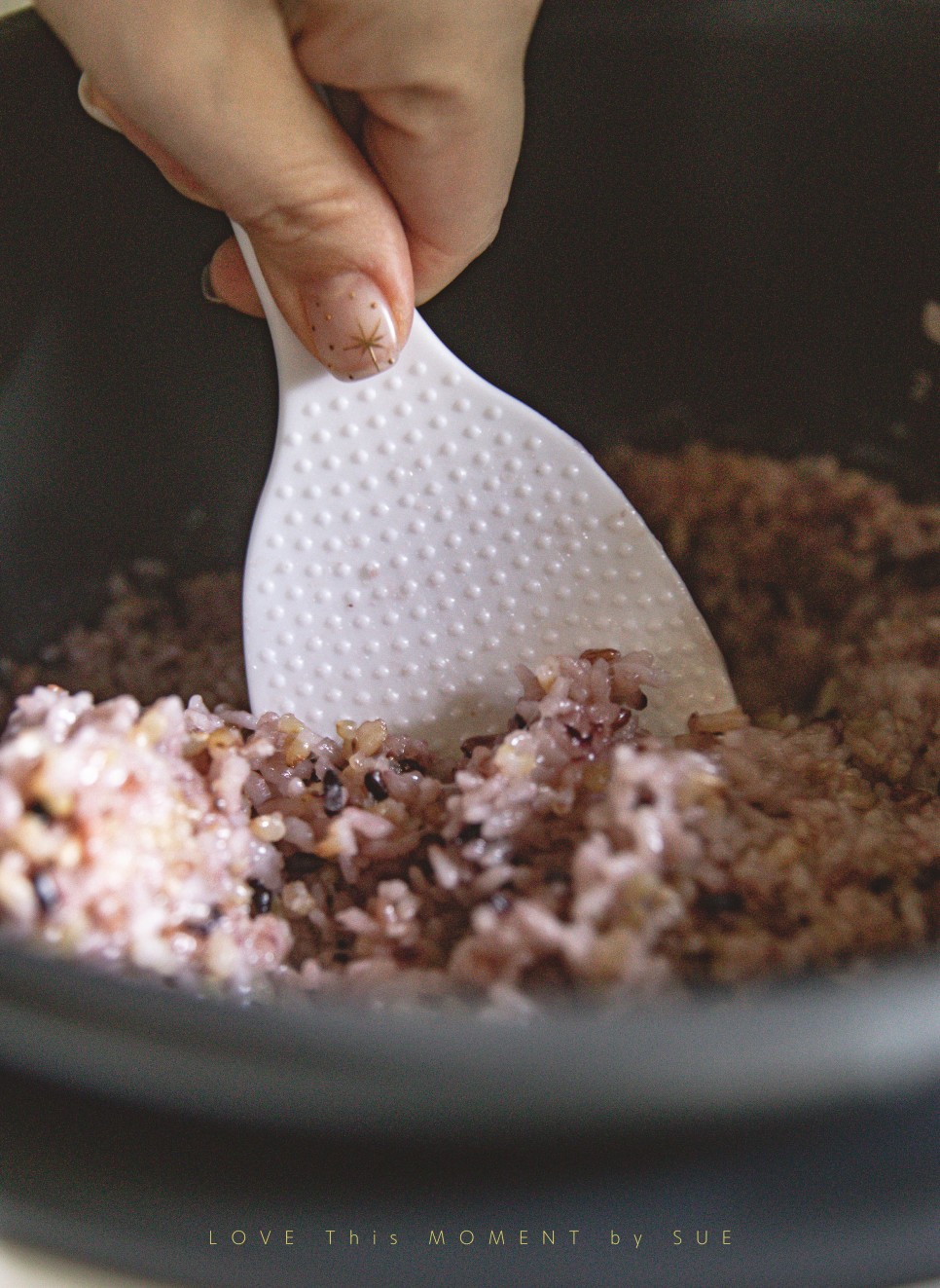 쿠첸 121, 10인용 압력밥솥 추천 2