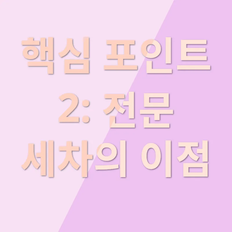 테일러 세차 후기_2