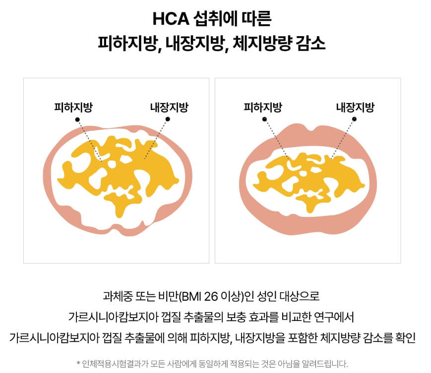파란통 다이어트