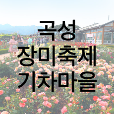 곡성 장미축제 글 썸네일