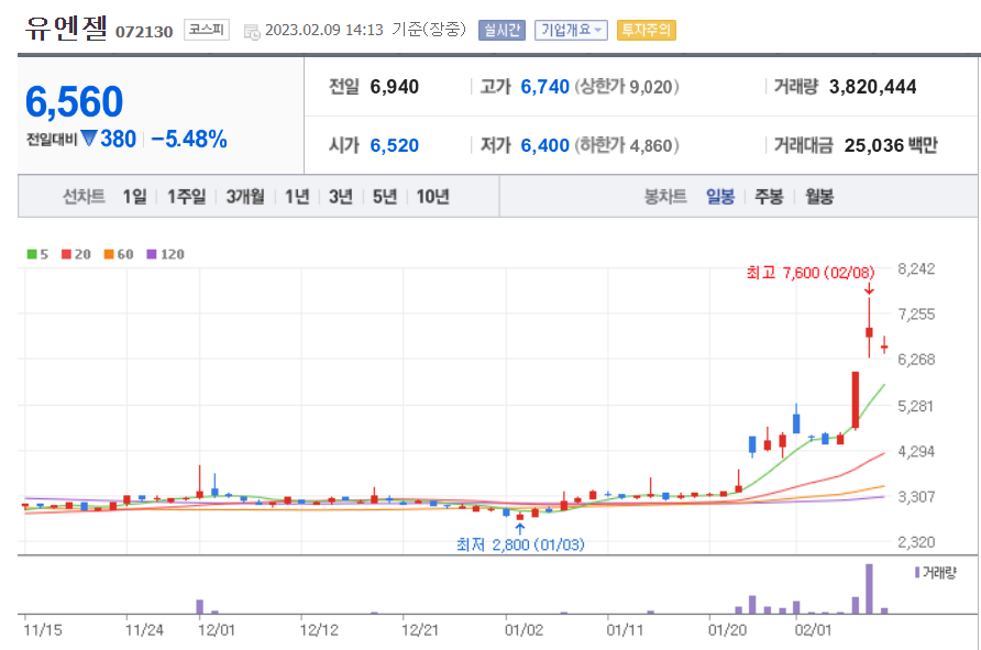 유엔젤 일봉 차트