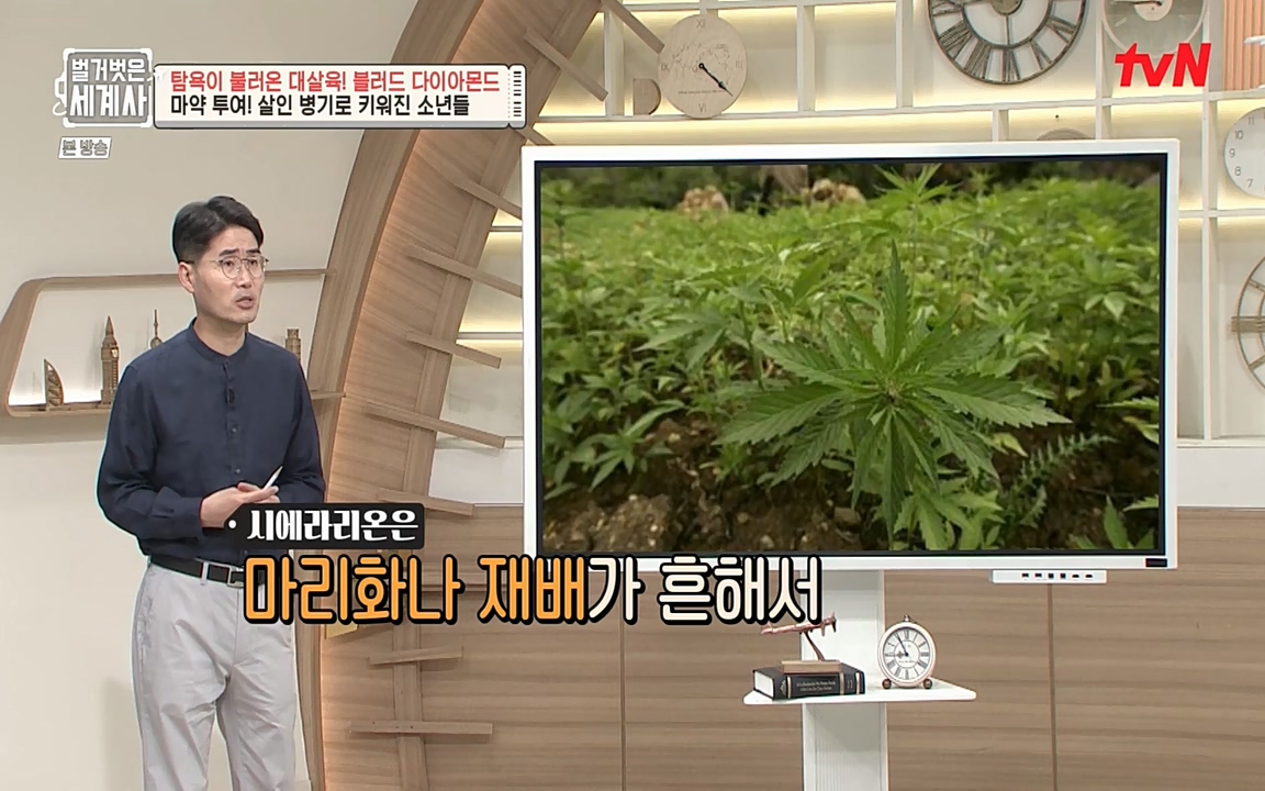 벌거벗은 세계사.E62.220831p-NEXT.mp4_20220905_204730.605.jpg