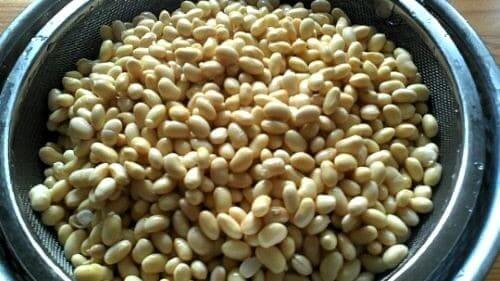 건강에 효능이 좋은 메주콩으로 콩장(콩조림),두유만들기(만드는법) 건강에 효능이 좋은 메주콩으로 콩장(콩조림),두유만들기(만드는법)