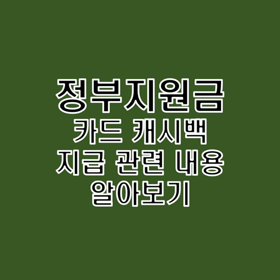  정부 2차 추경안 내용 중 신용 및 체크 카드 캐시백 지원금 환급 확정 내용