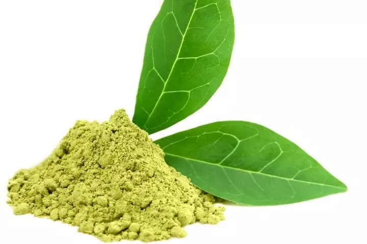 카테킨(Catechins)
