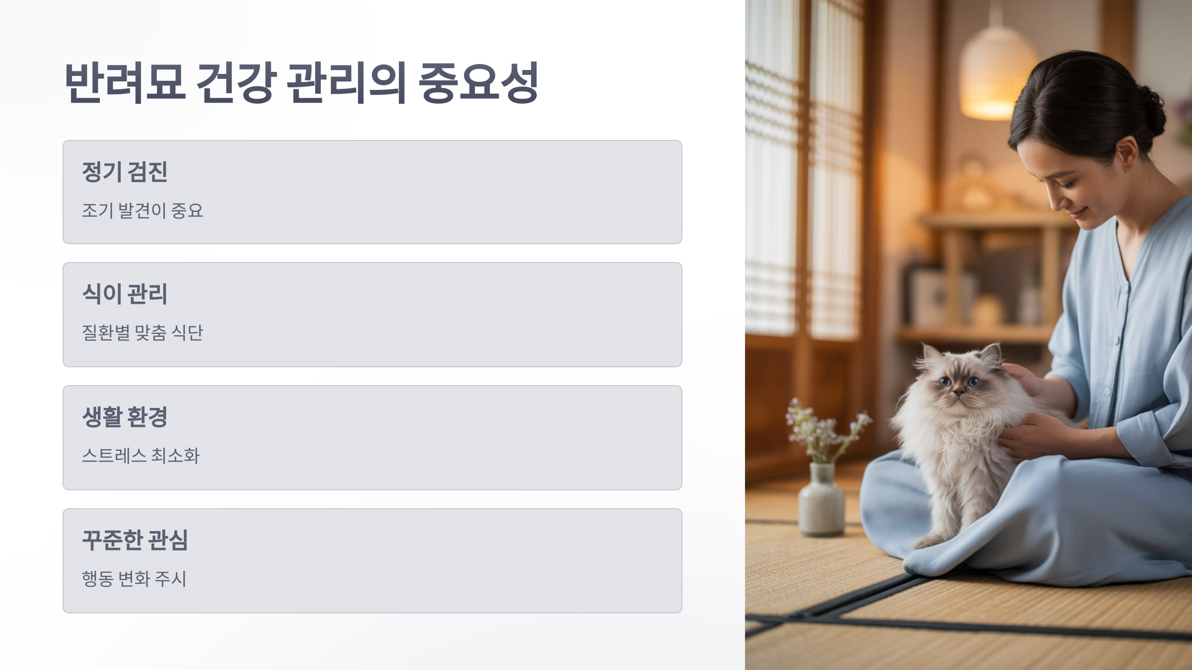 참조-고양이-4대-질환-6