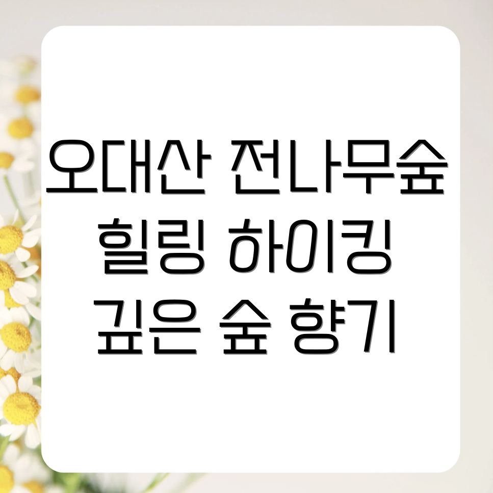 월정사 전나무숲길