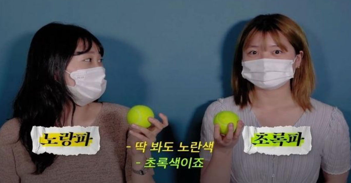  노란색 vs 초록색. 테니스공 무슨 색으로 보이시나요??