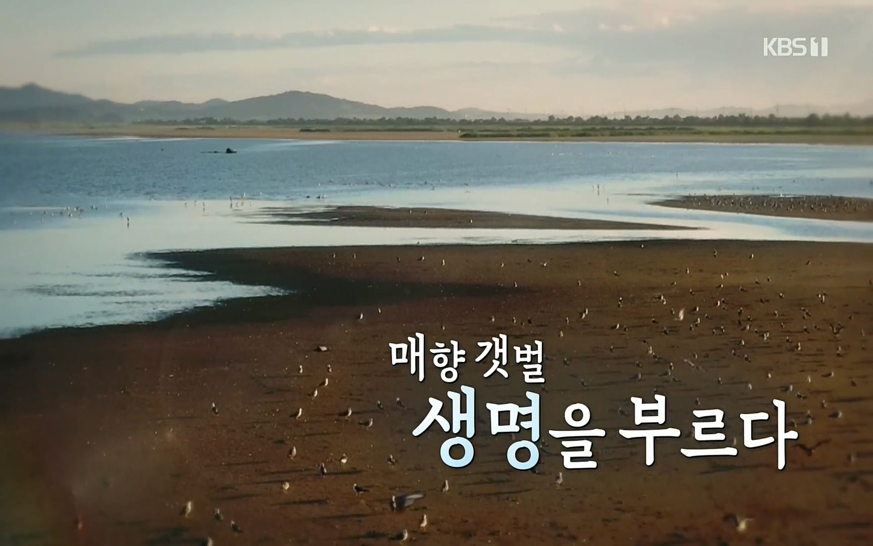 다큐 On.E151.220805p.H264-F1RST.mp4_20220806_190535.617.jpg