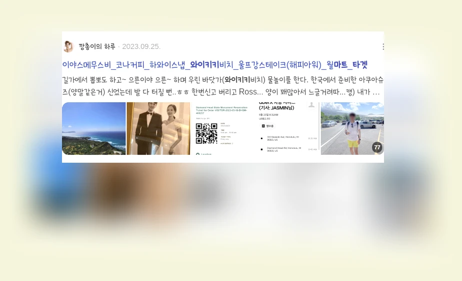 와이키키 타겟 마트_2_subsection