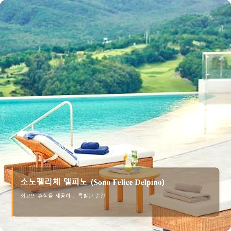 소노펠리체 델피노 (Sono Felice Delpino)_3